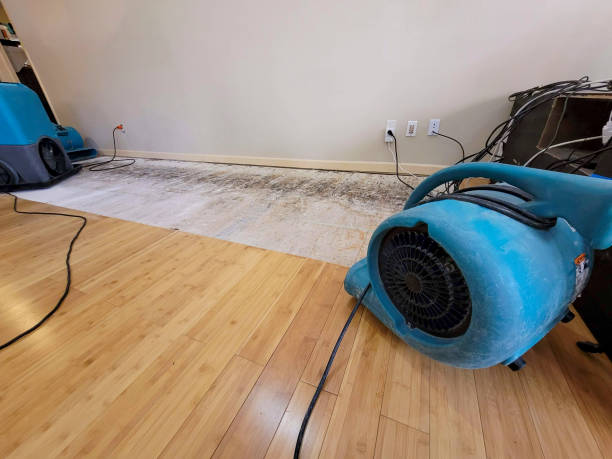 Professional Structural Drying technician working in Syosset, NY